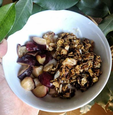 granola iz ponve